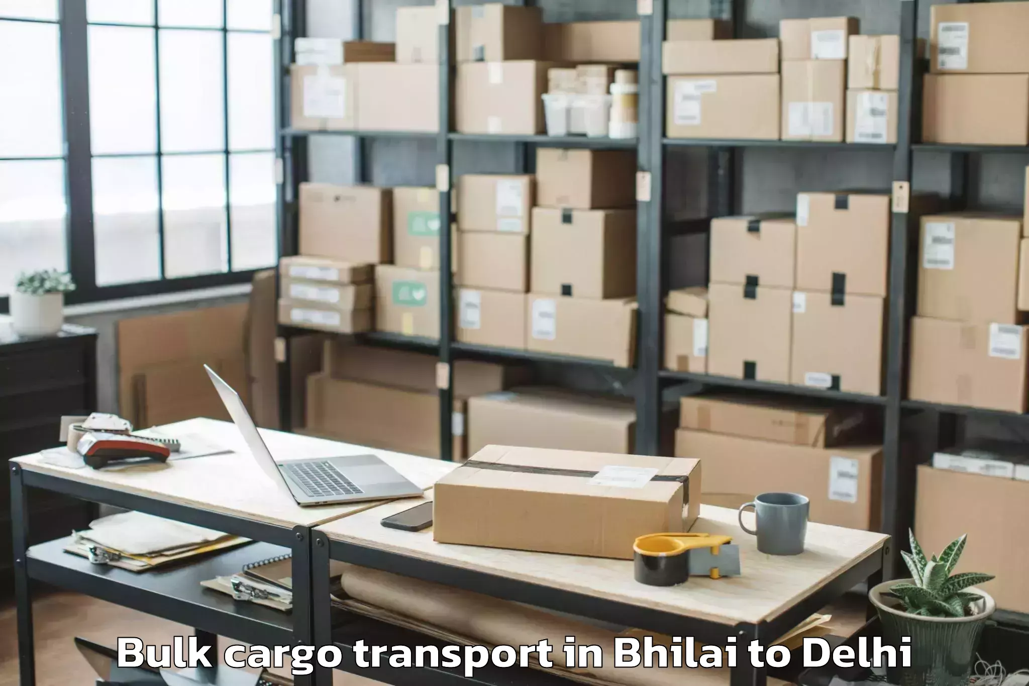 Book Bhilai to Flatted Factory Complex Okhla Bulk Cargo Transport Online